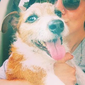 Meet your Posher, Susan